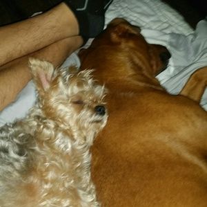 Meet your Posher, Maritza